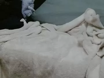 dildobandit213 on Chaturbate 